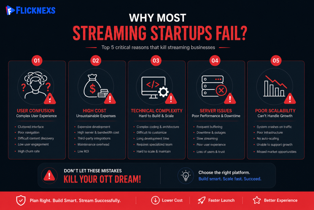 Infographic showing reasons why streaming startups fail 