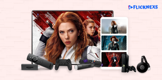 Video Streaming Services